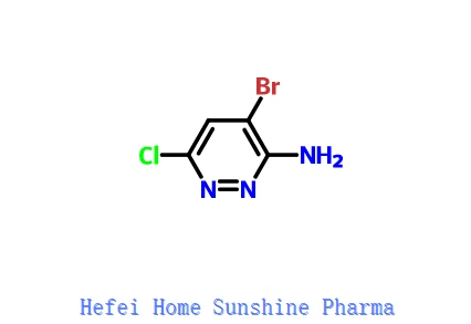 3-Amino-4-bromo-6-chloropyridazine CAS 446273-59-2