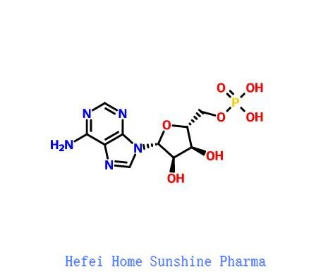 Adenosine 5'-monophosphate (AMP) CAS 61-19-8
